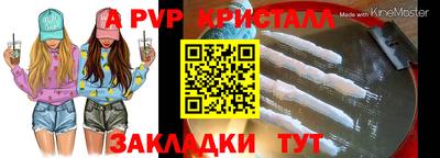 спайс Кингисепп