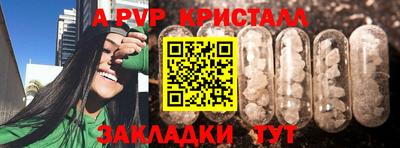 шишки Кимры
