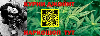 спайс Кингисепп