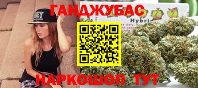 шишки Кимры