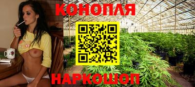 спайс Кингисепп
