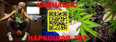 спайс Кингисепп