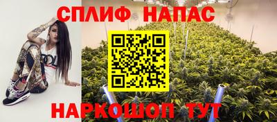 шишки Кимры