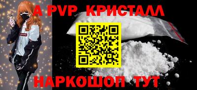 спайс Кингисепп