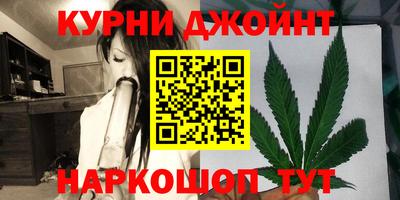 шишки Кимры