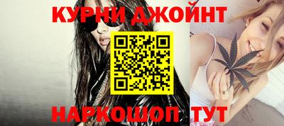 шишки Кимры