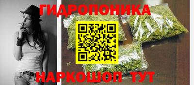 стафф Кинель