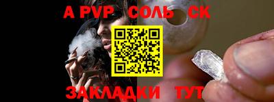 спайс Кингисепп