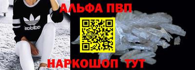 спайс Кингисепп