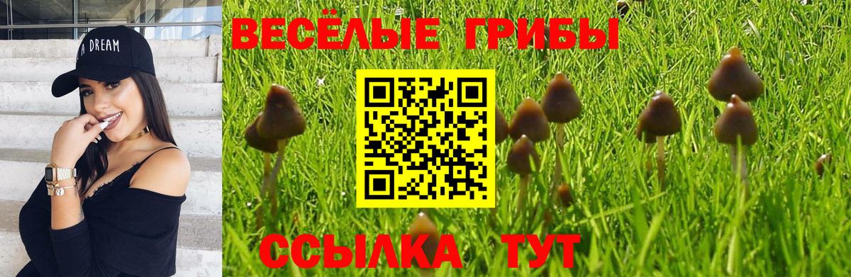 Галлюциногенные грибы Psilocybine cubensis Кохма