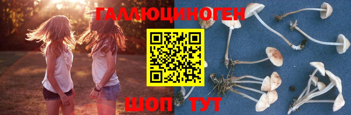 Псилоцибиновые грибы Cubensis  цены   Кохма  Вход с VPN 